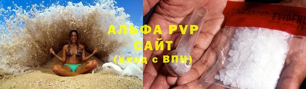 СК Бикин