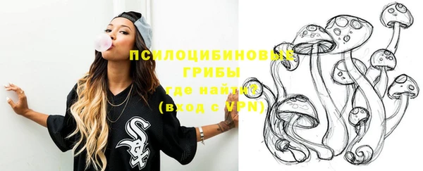 прущие крисы Билибино