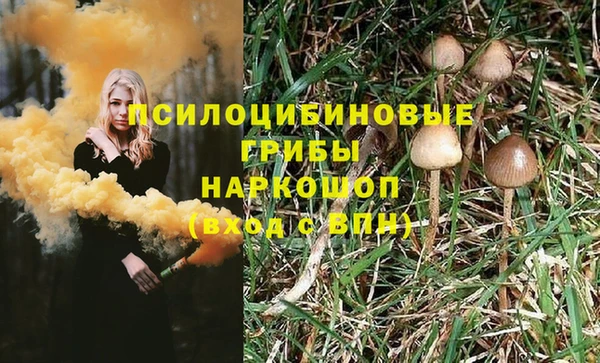 спиды Болотное